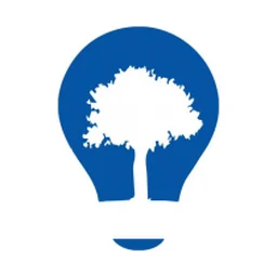 Logo Silver Concept